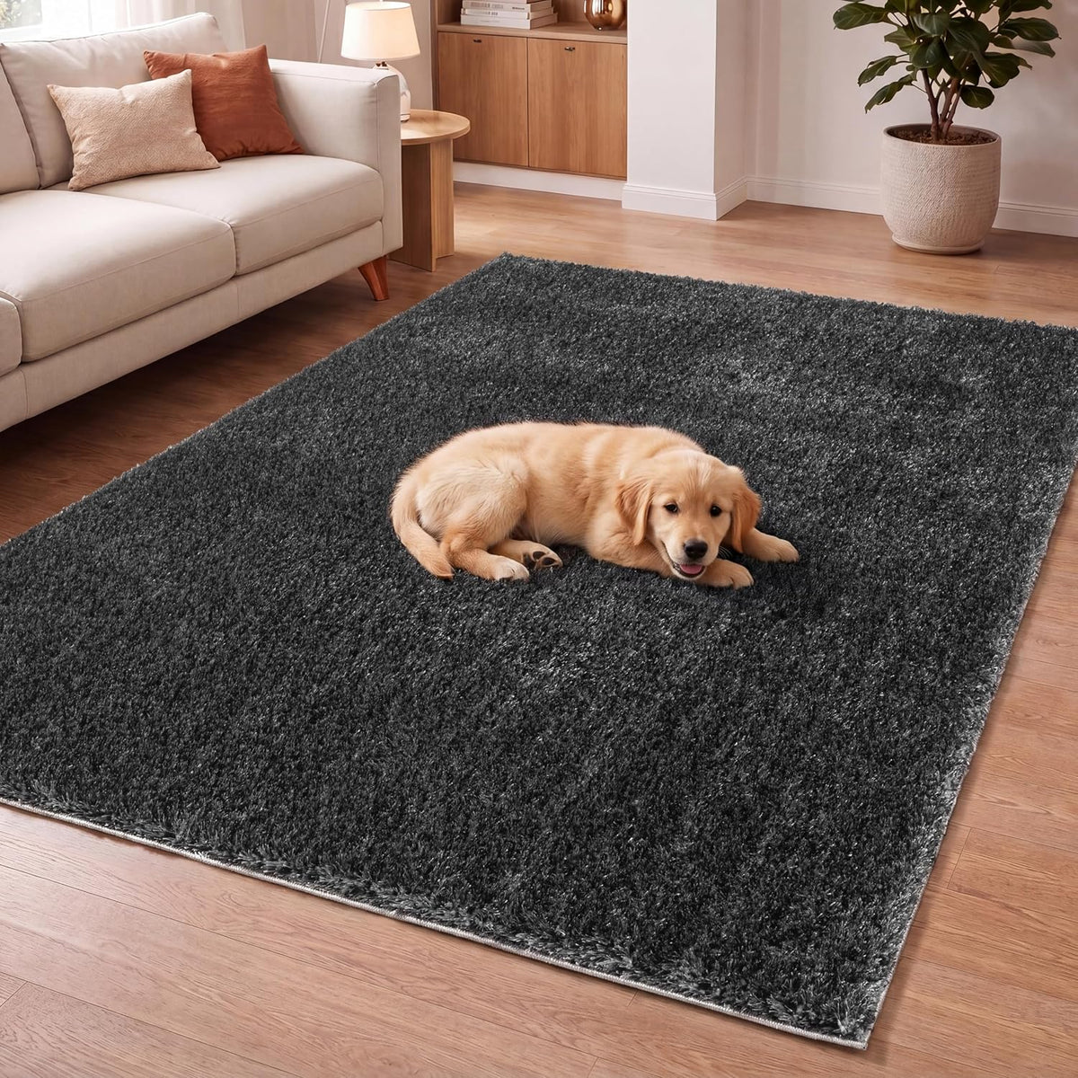 Anthracite